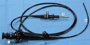Partes de Fibrobroncoscopio. A.-Cordón para la conexión a la fuente de luz. B.-Cordón de inserción al paciente (fibra óptica). C.-Cuerpo del instrumento. En él se encuentran el control de la punta del aparato (flexión o extensión), el orificio de entrada al “canal de trabajo” (administración de oxígeno y/o aspiración) y el visor.