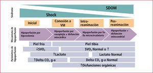 Manifestaciones y mecanismos de hipoperfusión en el shock séptico En la etapa inicial de la reanimación del Shock Séptico el mecanismo central que determina la hipoperfusión es la hipovolemia. Durante esta etapa las manifestaciones de hipoperfusión más evidentes son la vasoconstricción periférica, la reducción del flujo hepatoesplácnico que puede detectarse por tonometría gástrica (Delta CO2 g-a, delta CO2 gastrico - arterial), y la disminución de la saturación venosa central (SVO2). Una vez que se corrige la hipovolemia estas manifestaciones de hipoperfusión pueden revertirse, sin embargo, se hace evidente la disfunción vascular y miocárdica que pueden determinar persistencia de hipoperfusión, la cual en esta etapa se expresa fundamentalmente como hiperlactatemia, y que coincide con la expresión de disfunciones orgánicas progresivas. Estas alteraciones normalmente se van corrigiendo con el uso de vasopresores, inótropos y eventualmente la conexión del paciente a ventilación mecánica (VM). Sin embargo, en aquellos pacientes que evolucionan desfavorablemente con un Sindrome de disfunción multiorgánica (SDOM) se piensa que este está determinado por alteraciones microcirculatorias y mitocondriales, las cuales ya no dependen de la reanimación.