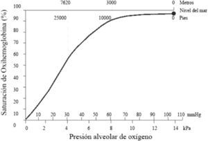 Efecto de la altitud sobre la presión alveolar de oxígeno y la saturación de oxihemoglobina.