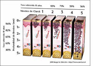 Dr. Horvath Bela; Melanoblog. www.med-ars.it.