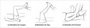 Maniobras de estiramiento de nervio ciático (a y b), y nervio femoral (c).