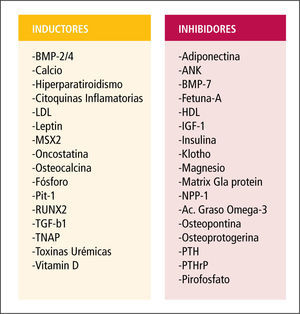 Lista de inductores e inhibidores de la calcificación vascular