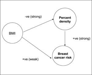 Asociación entre densidad mamográfica y cáncer de mama Boyd N, Cancer Epidemiol Biomarkers Prev 2006; 15(11): 2086-2092.