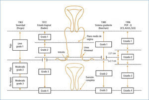 Clasificaciones de severidad de prolapso de órganos pélvicos Traducido de: Theofrastous JP, Swift SE. The Clinical Evaluation of pelvic Floor Dysfunction. Obstet Gynecol Clin North Am 1998;25(4):790