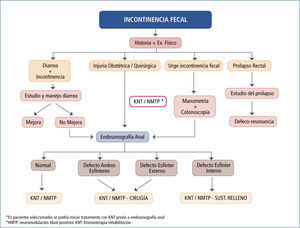 Algoritmo en manejo incontinencia fecal CEPP - CLC
