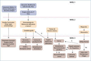 Esquema sugerido de estudio y tratamiento