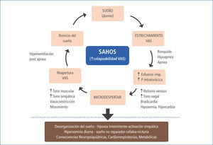 Esquema de los factores fisiopatológicos mas relevantes del sahos. olivi, H.
