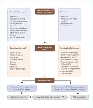 Algoritmo de estudio diagnostico de SAHOS Los tres pasos que siempre deben seguirse cuando se sospecha de apnea de sueño:- detección (pacientes susceptibles);- evaluación clínica para determinar la severidad de la enfermedad y el diagnóstico diferencial; finalmente, - el estudio de sueño, debería efectuarse de acuerdo con la posibilidad pre test de apnea de sueño y la presencia de comorbilidad conocida.