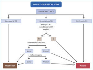 Algoritmo de estudio y manejo de TRS en niños