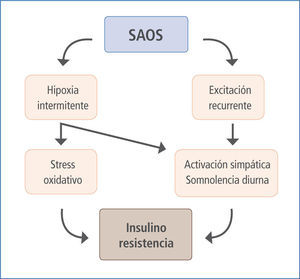 Relación SAOS - SIR (ref 24)