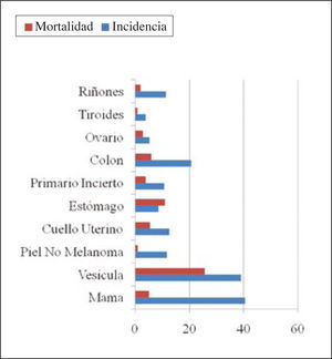 Incidencia y mortalidad por cáncer en mujeres según principales localizaciones. Chile, RPC región de los ríos 2003-2007.