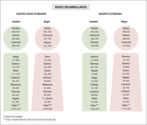 Estimación de nuevos casos y muertes a nivel mundial por localización según nivel de desarrollo económico de los países, 2008