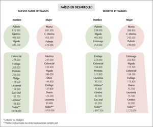 Estimación de nuevos casos y muertes a nivel mundial por localización según nivel de desarrollo económico de los países, 2008
