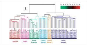 Clasificación molecular original del cáncer mamario