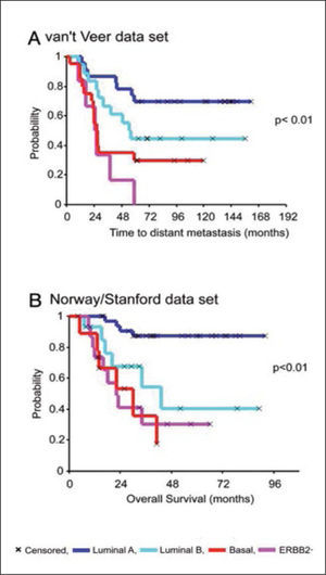 Pronóstico en distintos subtipos de cáncer mamario, previo al uso de herceptina
