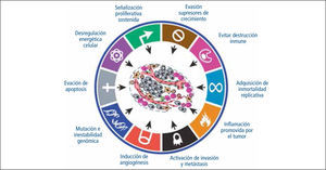Características del cáncer