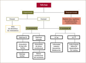 Algoritmo de evaluación inicial del paciente con talla baja