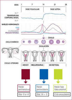 Ciclo menstrual y patrones de epilepsia catamenial Ref. 1, modificado.