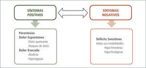 Síntomas sensitivos dolor neuropático Adapatado de Baumgärtner y col. Pain 2002 (38), Treede, RD: Handbook of Neurology 2006 (39).