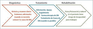 El manejo del dolor neuropático es un proceso fluido con el objetivo de reducir el dolor y mejorar la función Adaptado de haanpää m, efic 2013 (20).