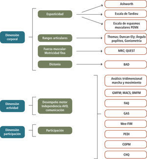 Índices de Evaluación Funcional Índices de Evaluación Funcional en las Dimensiones Corporal, Actividad y Participación; Escala de Ashworth modificada; Escala de Tardieu modificada; Escala de espasmos musculares de Penn; MRC: Muscle Research Council; QUEST: Quality of Upper Extremity Skills Test; BAD: Escala de Distonía de Barry- Albright; GMFM: Gross Motor Function Measure; MACS: Manual Ability Classification System; BMFM: Bimanual fine Motor; FAQ: Functional Assesment Questionnaire; GAS: Goal Attainment Scale;WeeFIM: Functional Independence Measure, for children; PEDI: Paediatric Evaluation of Disability Inventory; COPM: Canadian Occupational Performance Measure; CHQ: Child Health Questionnaire.