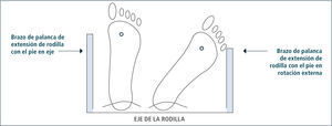 Brazos de palanca del pie según rotación El ángulo de progresión del paso afecta el brazo de palanca para la extensión de la rodilla ya que disminuye en la medida que el pie se encuentra en más rotación externa.