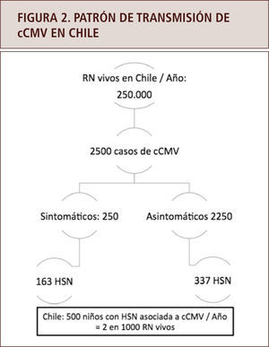 Patrón de transmisión de cCMV y extrapolación general a la realidad chilena. RN: recién nacidos; cCMV: infección congénita por citomegalovirus; HSN: Hipoacusia sensorioneural