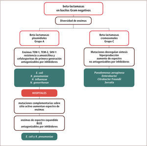 Beta-Lactamasas Comunes Involucradas en Bacilos Gram Negativos