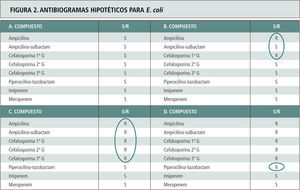 Antibiogramas hipotéticos para E. coli con diferentes mecanismos de resistencia para beta-lactámicos, cuyo espectro se explica por el circulo respectivo. A. Cepa de E. coli no portadora de beta-lactamasas. B. Cepa portadora de beta-lactamasas tipo TEM 1 o SHV 1 de espectro limitado. C. Cepa portadora de BLEE. Tómese nota que la susceptibilidad ante inhibidores de beta-lactamasas como en el caso de piperacilina-tazobactam no siempre ocurre debido a que las enzimas BLEE derivadas de la línea SHV son más difíciles de inhibir, o hay una mayor copia de plasmidios con mayor cantidad relativa de enzima o existen alteraciones de permeabilidad asociadas (Caso D).