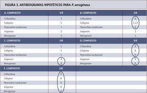 Antibiogramas hipotéticos para P. aeruginosa con diferentes mecanismos de resistencia para beta-lactámicos, cuyo espectro se explica por el circulo respectivo. A. Cepa portadora enzima AmpC en estado basal sin hiperproducción. B. Cepa hiperproductora de la enzima AmpC. Según el nivel de enzima puede haber susceptibilidad o resistencia a cefepime. C. Cepa con mutación de porina sin hiperproducción de enzima AmpC. D. Cepa con mutación de porina e hiperproducción de AmpC. E. Cepa portadora de carbapenemasa. Los antibiogramas de los casos D y E son indistinguibles. Tómese nota que tazobactam no actúa sobre AmpC y que el efecto sobre P. aeruginosa depende exclusivamente de piperacilina.