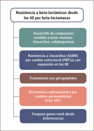 Evolución de los Mecanismos de Resistencia en S. aureus