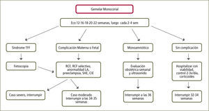 Manejo embarazo monocorial biamniótico