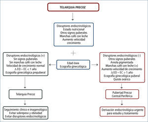 ALGORITMO DE ESTUDIO PARA PACIENTES CON TELARQUIA PRECOZ. Δ EO - EC > 1 año: diferencia entre edad ósea y edad cronológica mayor a 1 año. Ecografía ginecológica puberal: signos ecográficos de actividad estrogénica (ver texto).