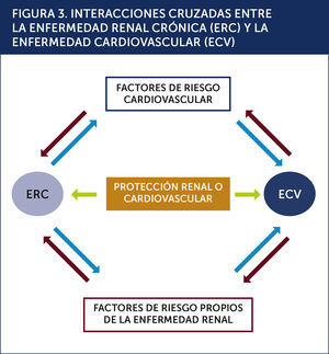 INTERACCIONES CRUZADAS ENTRE LA ENFERMEDAD RENAL CRÓNICA (ERC) Y LA ENFERMEDAD CARDIOVASCULAR (ECV) .