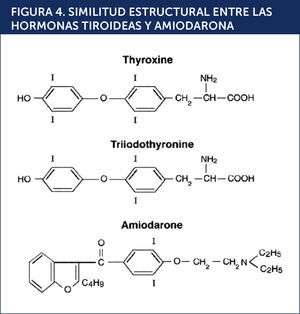 SIMILITUD ESTRUCTURAL ENTRE LAS HORMONAS TIROIDEAS Y AMIODARONA.