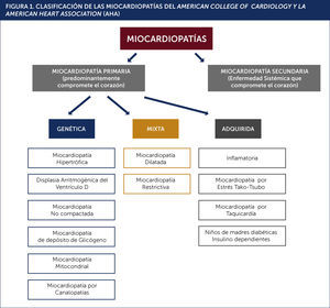 CLASIFICACIÓN DE LAS MIOCARDIOPATÍAS DEL AMERICAN COLLEGE OF CARDIOLOGY Y LA AMERICAN HEART ASSOCIATION (AHA) REF (1).