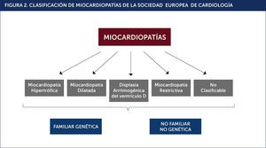 CLASIFICACIÓN DE MIOCARDIOPATÍAS DE LA SOCIEDAD EUROPEA DE CARDIOLOGÍA.