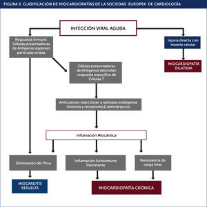 CLASIFICACIÓN DE MIOCARDIOPATÍAS DE LA SOCIEDAD EUROPEA DE CARDIOLOGÍA.