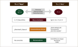 BIOMARCADORES DE FENOTIPO EN ASMA TH-2 “ALTO” Y TH-2 “BAJO Adaptado de (21).