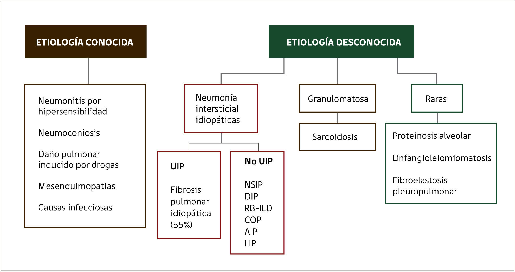 APROXIMACIÓN DIAGNÓSTICA A LAS ENFERMEDADES PULMONARES DIFUSAS ...