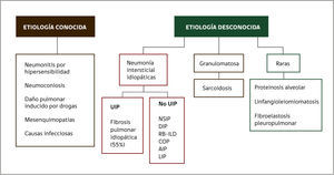 CLASIFICACIÓN DE LAS ENFERMEDADES PULMONARES DIFUSAS UIP, Usual interstitial pneumonia, NSIP: Nonspecific interstitial pneumonia, DIP: Desquamative interstitial pneumonia, RB-ILD: Respiratory bronchiolitis and interstitial lung diseases, COP: Cryptogenic organizing pneumonia, AIP: Acute interstitial pneumonia, LIP: Limphocytic interstitial pneumonia. (Modificado de referencia 4).