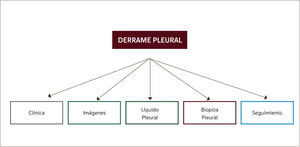 ENFRENTAMIENTO DEL PACIENTE CON DERRAME PLEURAL.