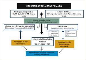 DESARROLLO DE LA HIPERTENSIÓN PULMONAR PRIMARIA.