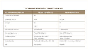 TERAPIA GUIADA POR OBJETIVOS ADAPTADA POR EQUIPO.