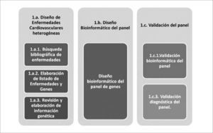 Modelo de diseño y validación del panel de enfermedades cardiovasculares heterogéneas La fase 1.a. corresponde al diseño de un panel de genes aplicados a enfermedades cardiovasculares. Incluye la búsqueda de información clínica y genética. En la fase 1.b. se encuentra el diseño bioinformático del panel para su fabricación. La fase 1.c corresponde a la evaluación bioinformática del diseño y a la validación diagnóstica con muestras clínicas conocidas para establecer su sensibilidad y especificidad.