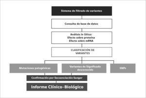 Flujograma de diagnóstico clínico-biológico en paneles de secuenciación masiva La clasificación de variantes detectadas por secuenciación masiva incluye la aplicación de algoritmos validados y actualización constante de información científica y guías consensuadas, que permitan definir las variantes patogénicas y probablemente patogénicas que requieren ser confirmadas previamente a la emisión del informe clínico biológico.