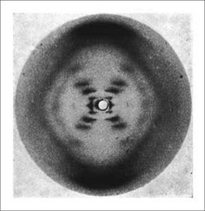 Una de las imágenes captadas por Franklin y Gosling en el estudio del adn por medio de difracción de rayos x. esta sería conocida como Foto 51 y es la que observaron Watson y crick cuando postularon su modelo de la estructura del dna. (Fuente: http://en.wikipedia.org/wiki/Photo_51#/media/File:Photo_51_x-ray_diffraction_image.jpg).