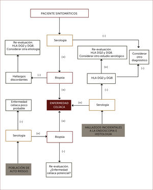 Algoritmo diagnóstico de enfermedad celiaca Por serología se entiende IgA anti transglutainasa tisular, anti endomisio o anti péptido gliadina deaminado en casos con niveles de IgA sérica normales, o IgG anti transglutaminasa tisular o anti péptido gliadina deaminado en casos con déficit de IgA. Adaptado de referencia 62.