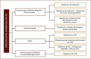 ROL DEL ENDOSCOPISTA AVANZADO EN PACIENTES CON EII Adaptado de Modha K, Navaneethan U. Advanced therapeutic endoscopist and inflammatory bowel disease: Dawn of a new role. World J Gastroenterol 2014. Siglas: CPRE: colangiopancreatografía retrógrada endoscópica, CEP: Colangitis esclerosante primaria, CC: Colangiocarcinoma, FISH: Hibridación in situ con fluorescencia, pCLE: endomicroscopia láser confocal, CCR: Cáncer colorrectal.