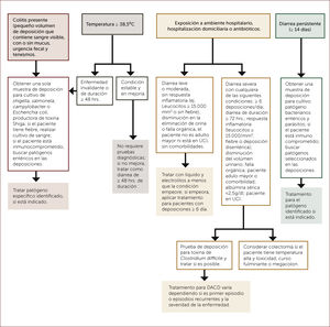 EVALUACIÓN Y TRATAMIENTO DE PACIENTES CON DIARREA SEVERA, DE ACUERDO A SI TIENEN SÍNTOMAS DE COLITIS, FIEBRE, HOSPITALIZACIÓN, CASAS DE REPOSO, ANTIBIÓTICOS Y DIARREA PERSISTENTE Adaptado de DuPont HL. Acute infectious diarrhea in immunocompetent adults. N Eng J Med 2014;370:1532-1540.